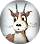 cliquez pour d�couvrir le crazy-dahu.