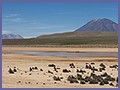 P�rou Altiplano